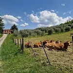 Trebbiolo Фермерский дом Dicomano