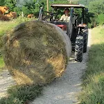 Trebbiolo Bauernhof *