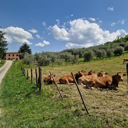 Trebbiolo Farm stay Dicomano