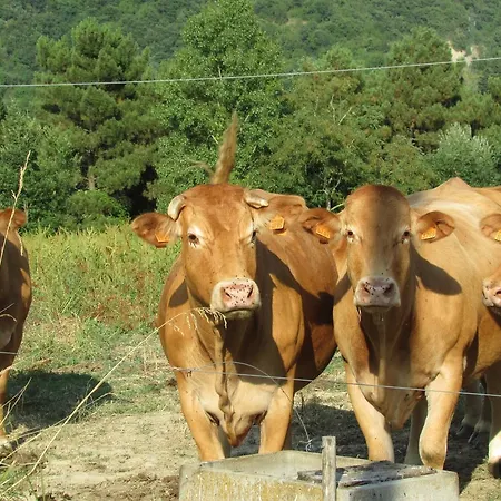Trebbiolo Alloggio per agriturismo *