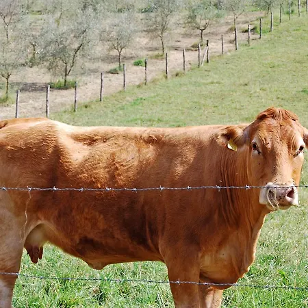 Trebbiolo Farm stay *