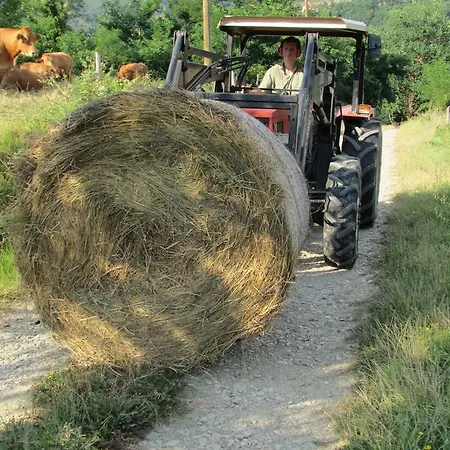 Trebbiolo Κατάλυμα σε φάρμα *