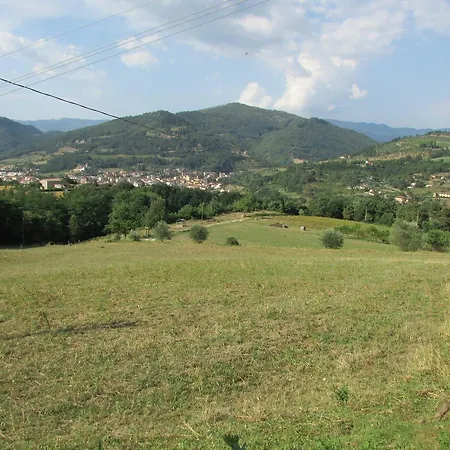 Trebbiolo Dicomano