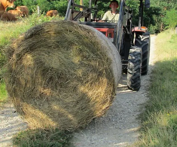 Trebbiolo Gospodarstwo agroturystyczne *